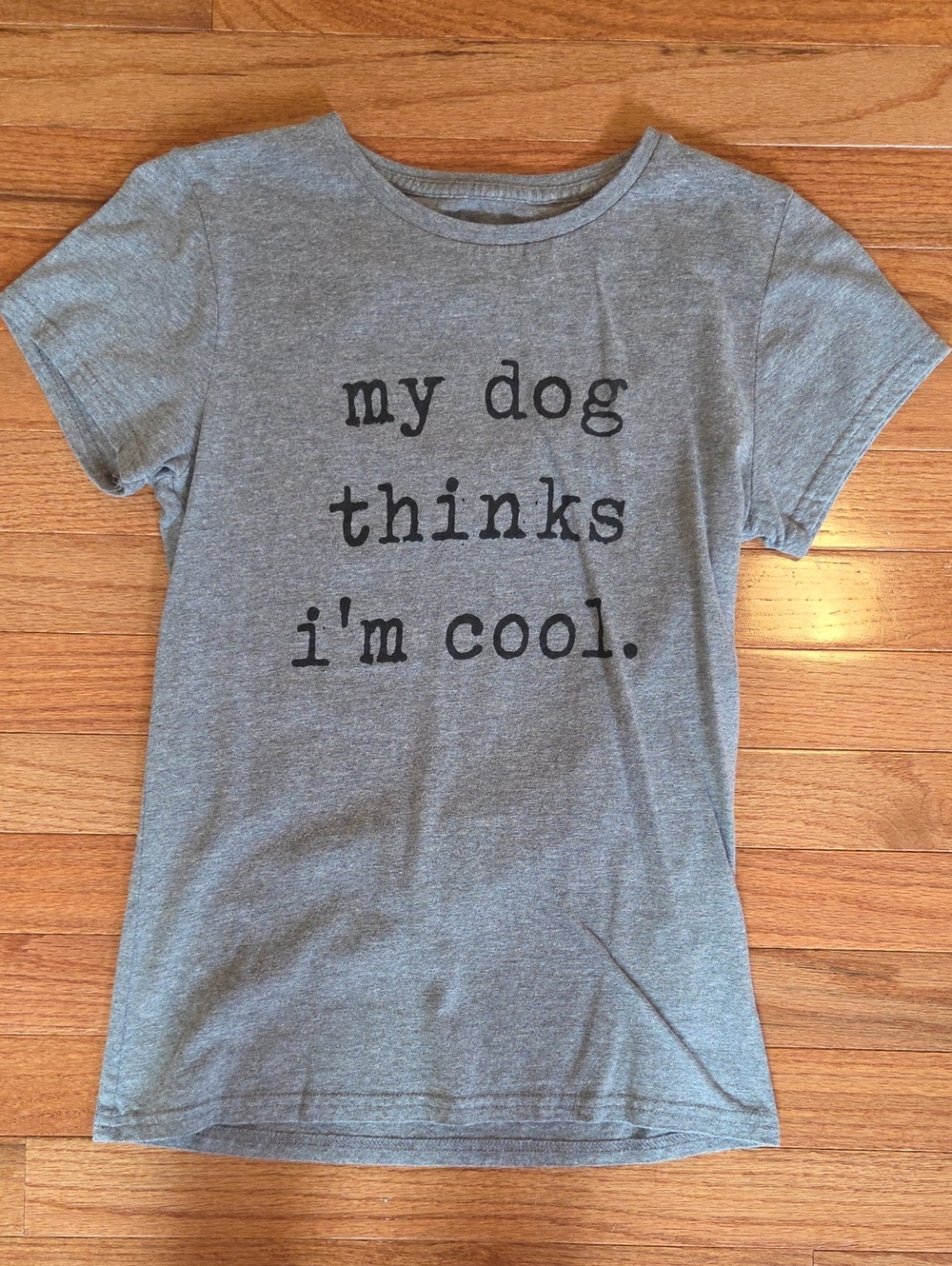 My Dog Thinks I'm Cool Gray T-Shirt